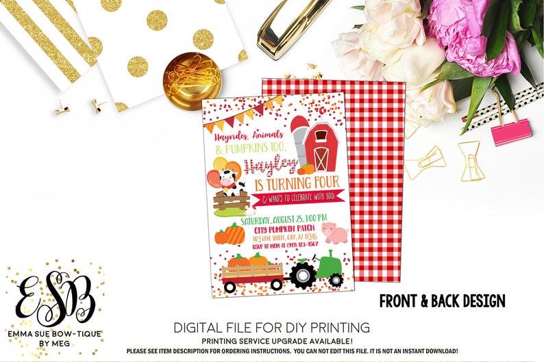 Fall Farm Pumpkin Patch Gingham Birthday Party Invitation Printable - Digital File  (Pumpkin-boy18patch)
