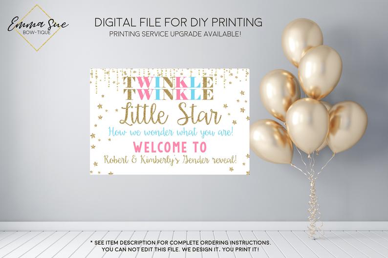 Pink & Blue Twinkle Twinkle Little Star Baby Gender Reveal Welcome Sign - Party Decorations  - Digital File